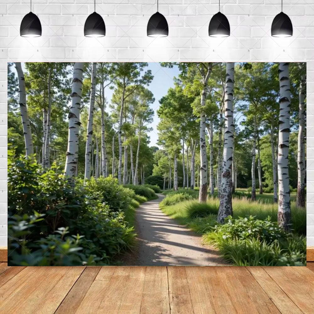 Sunny Trail Berkenboom Bos Ach - Photography Composition recensie en prijs