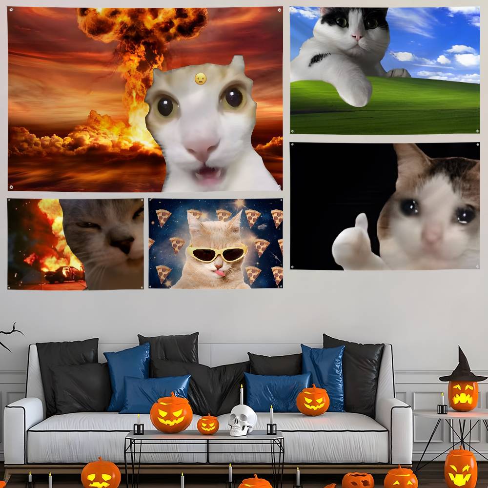 Interessante kat fotografie Vl - Photography Interest recensie en prijs